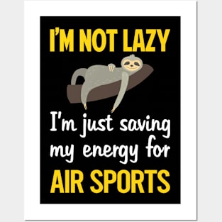 Funny Lazy Air Sports Posters and Art